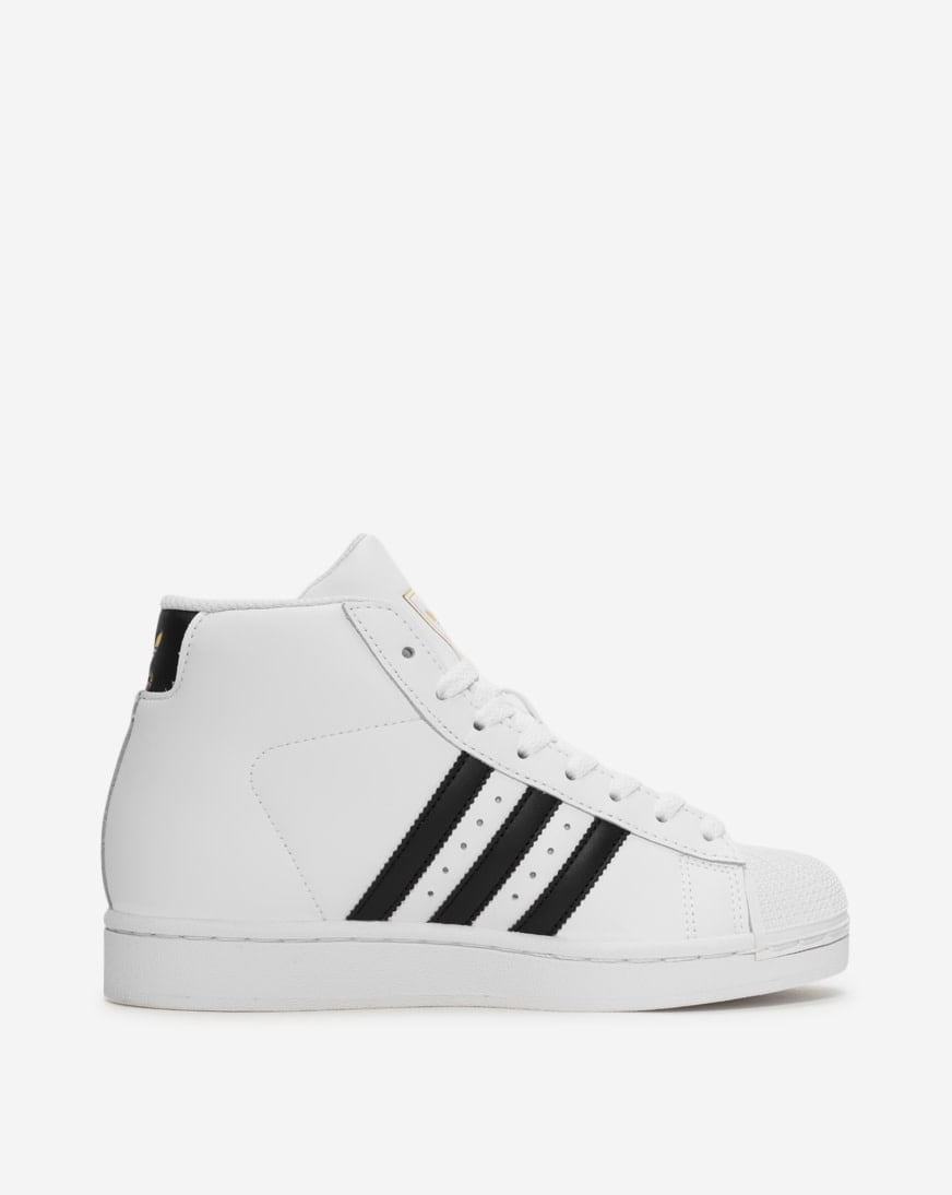 Grade School Pro Model