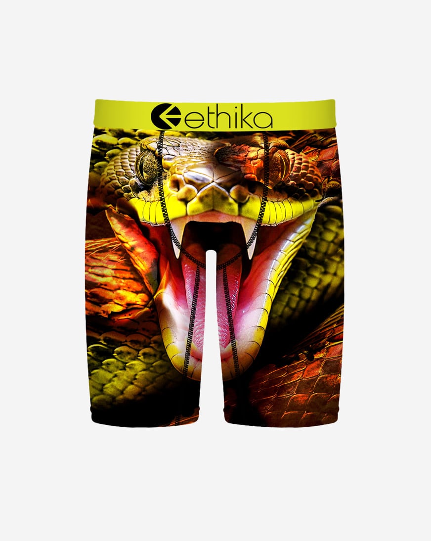 Grade School Bite Back Briefs