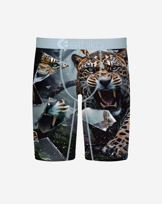 Grade School Shatter Cat Briefs