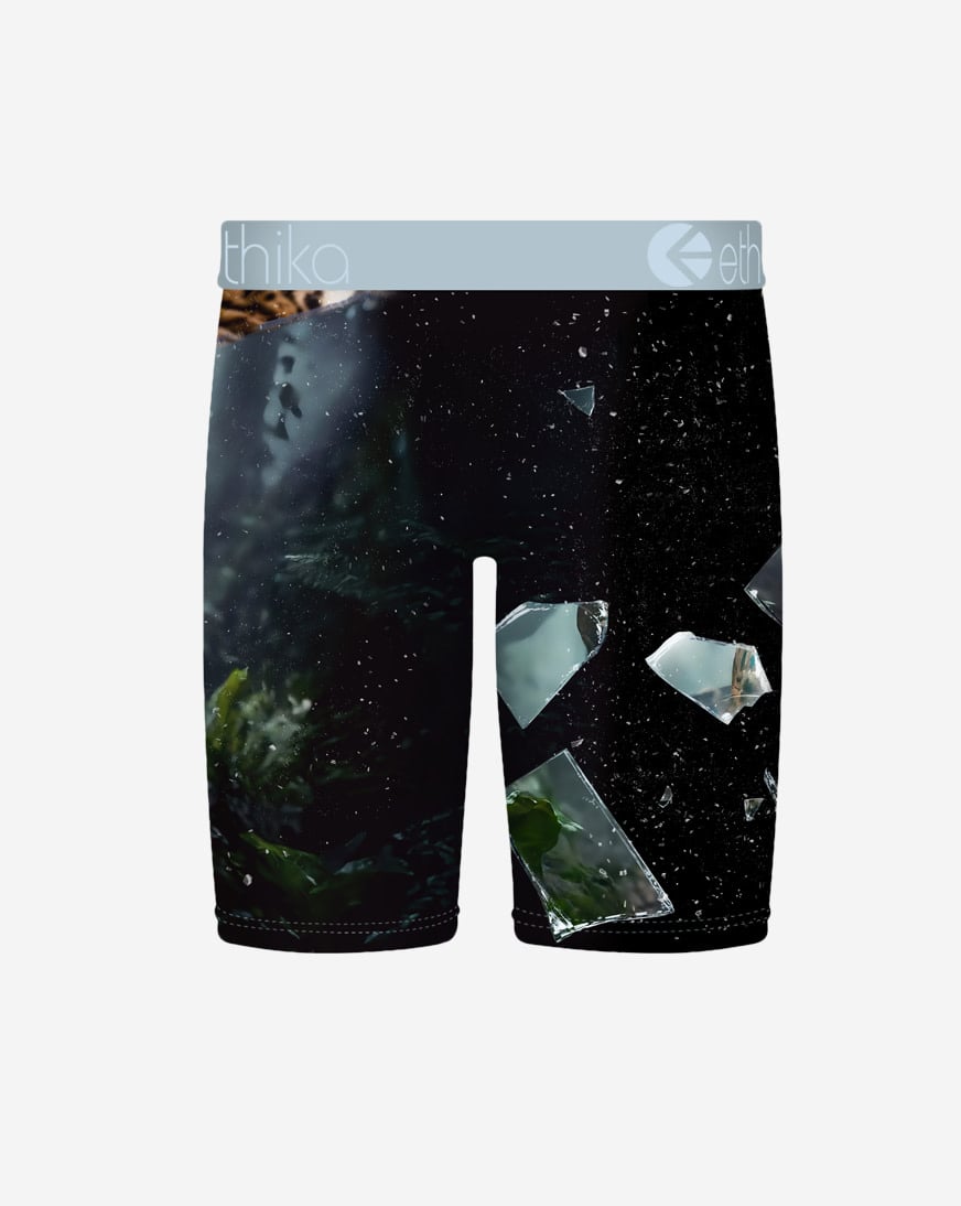 Shatter Cat Briefs
