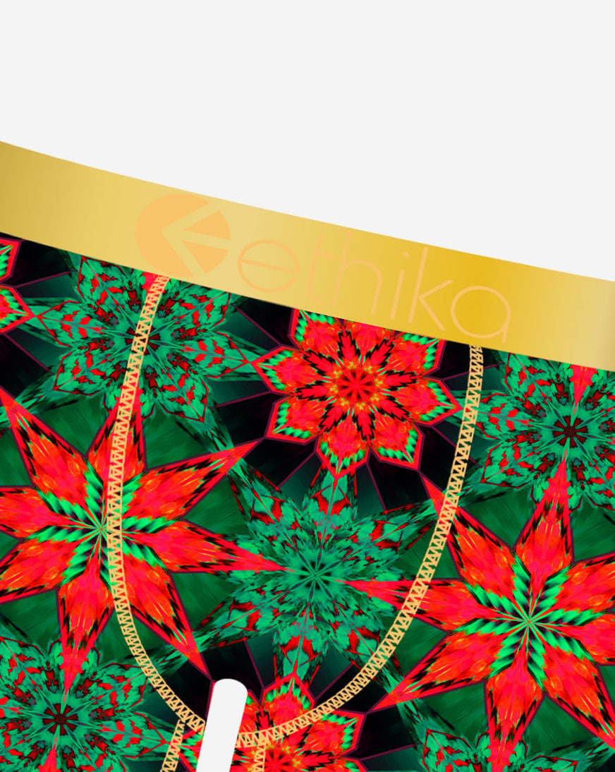 Moroccan Silk Briefs