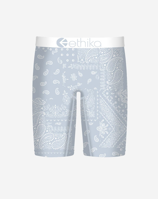 Ice Paisley Briefs