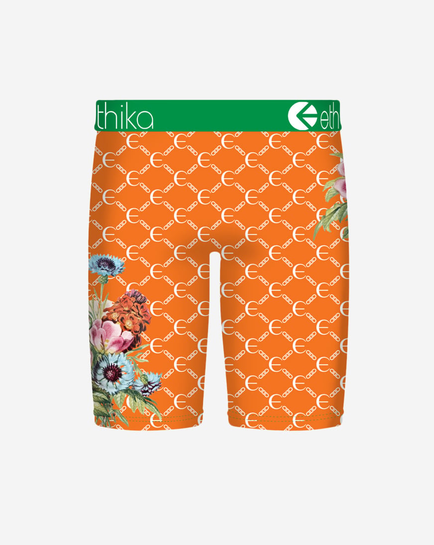 Botaness Briefs