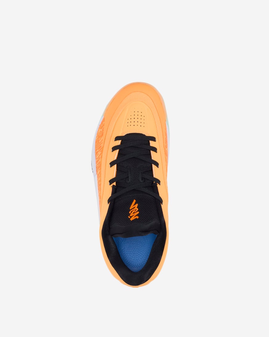 Zion 4