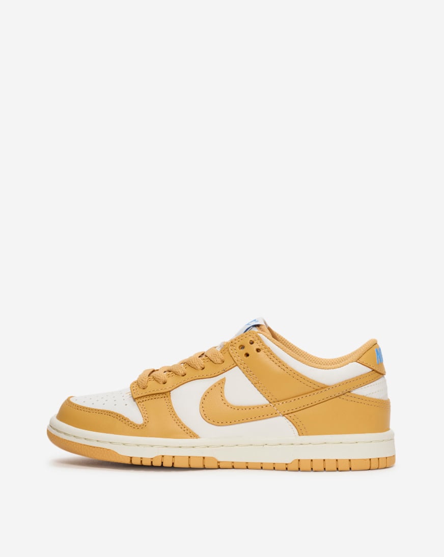 Big Kids' Dunk Low
