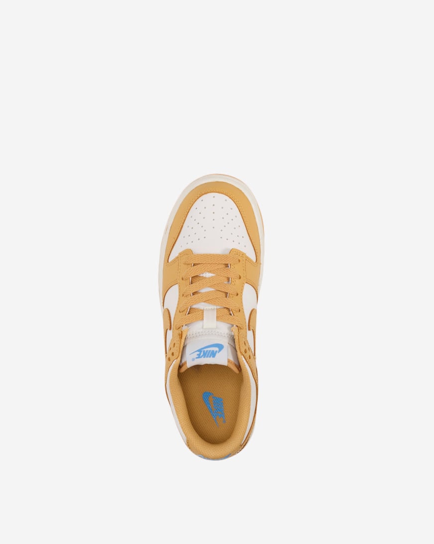 Big Kids' Dunk Low
