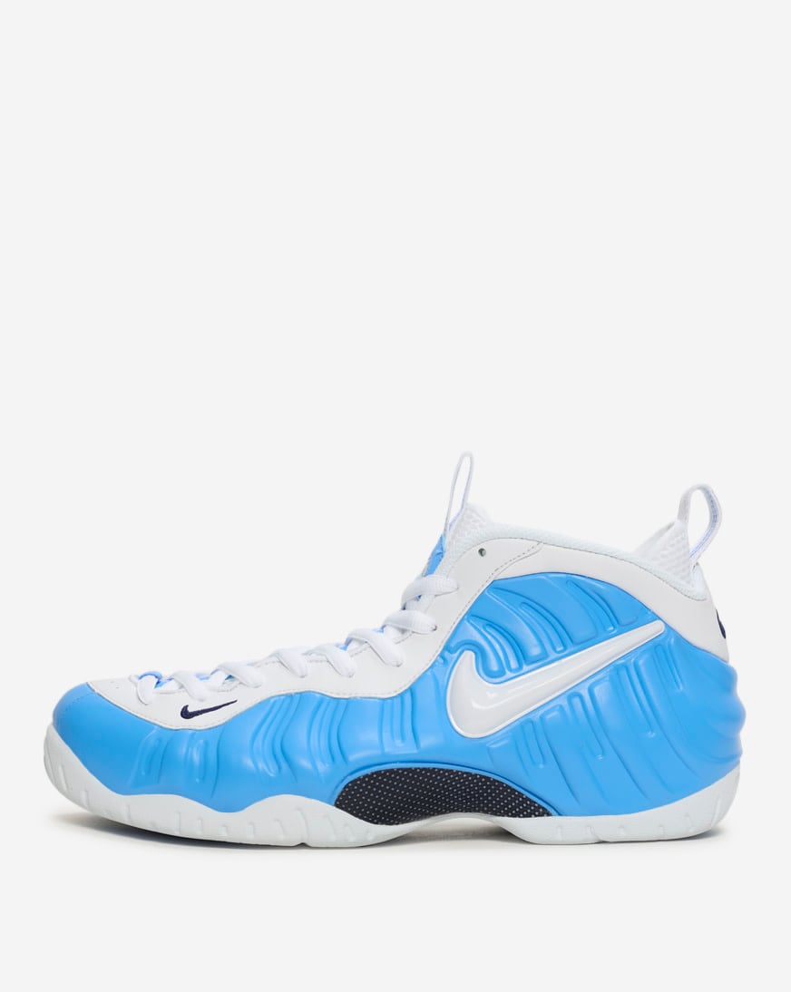 Air Foamposite Pro