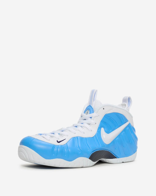 Air Foamposite Pro