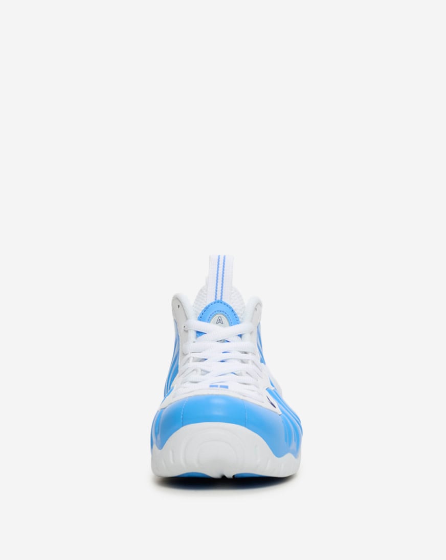 Air Foamposite Pro