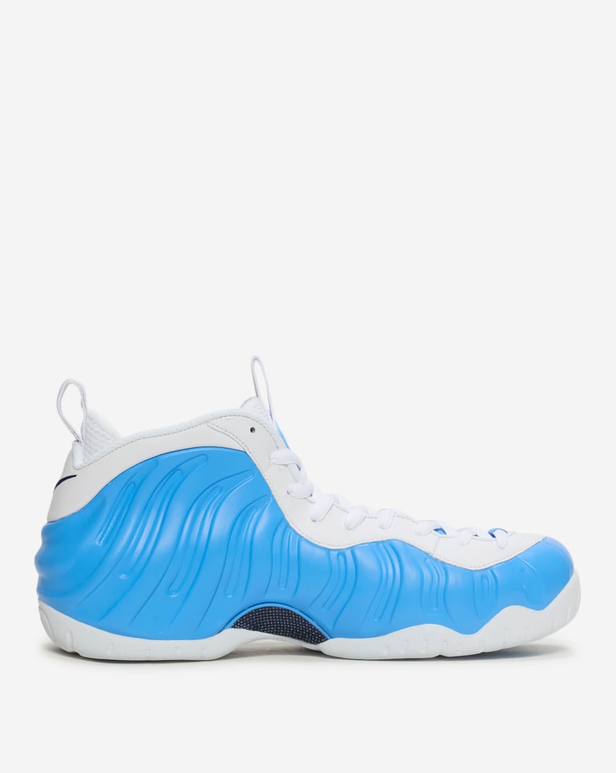 Air Foamposite Pro