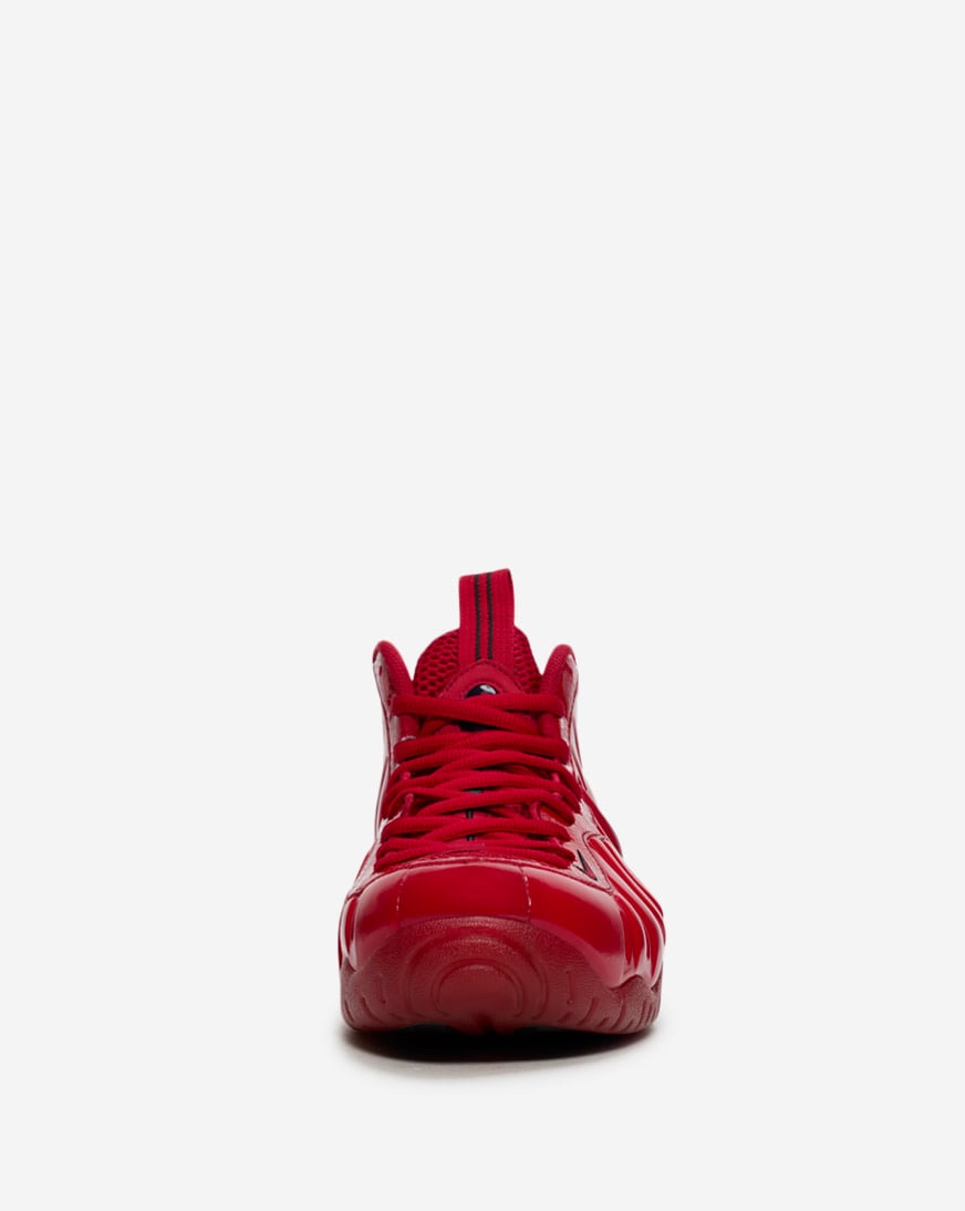 Air Foamposite Pro