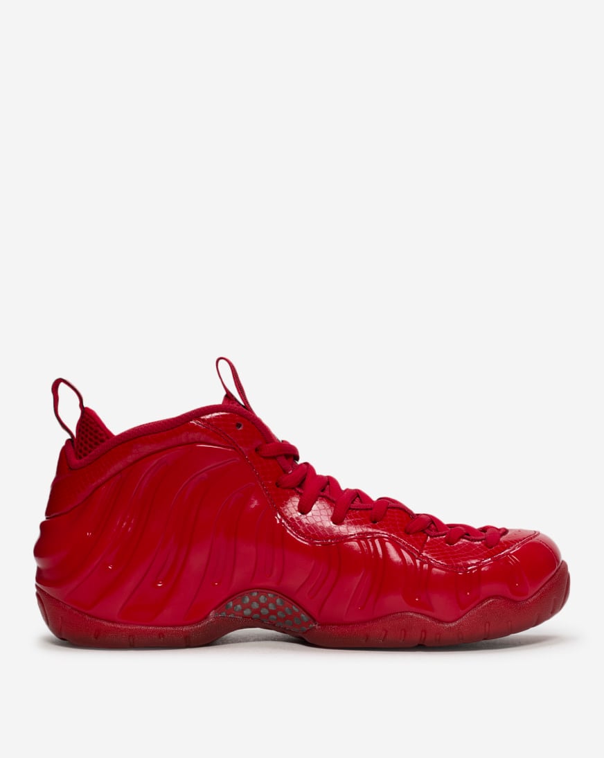 Air Foamposite Pro