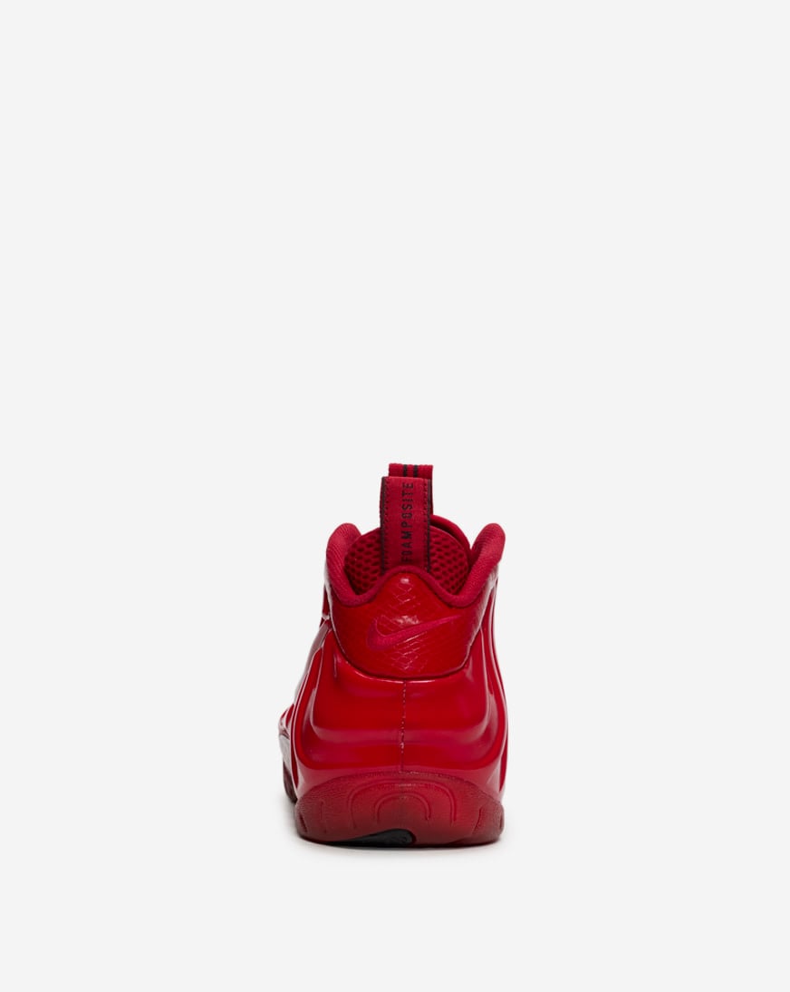 Air Foamposite Pro