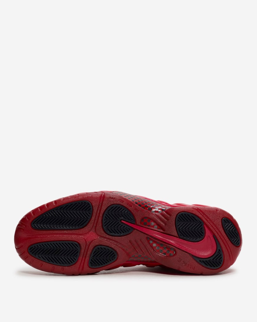 Air Foamposite Pro