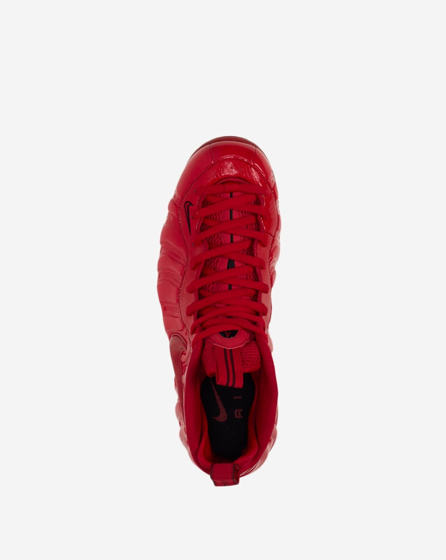 Air Foamposite Pro