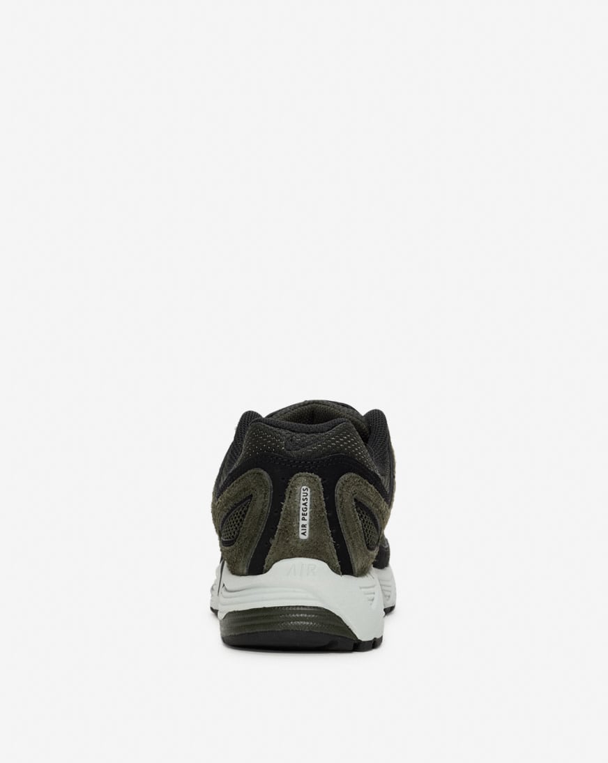 Air Max Pegasus