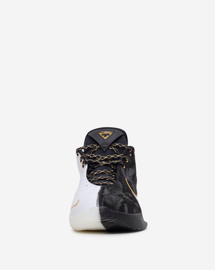 LeBron XX11