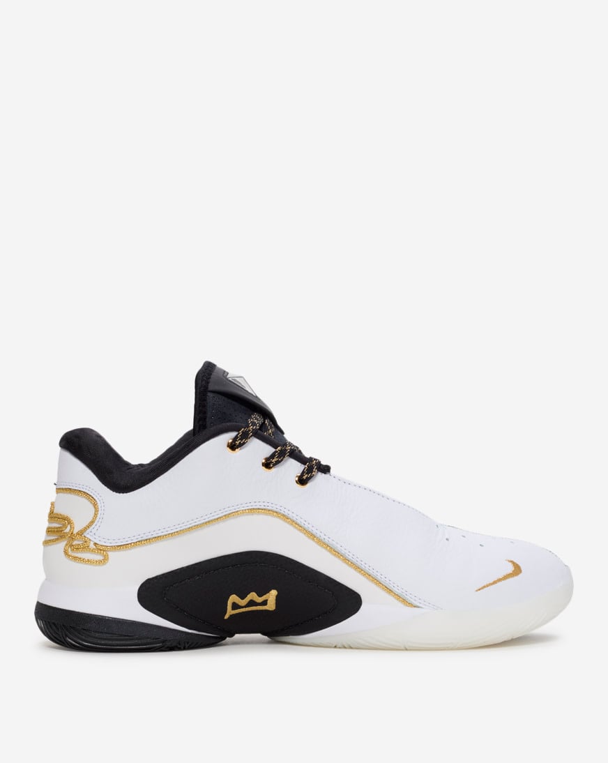 LeBron XX11