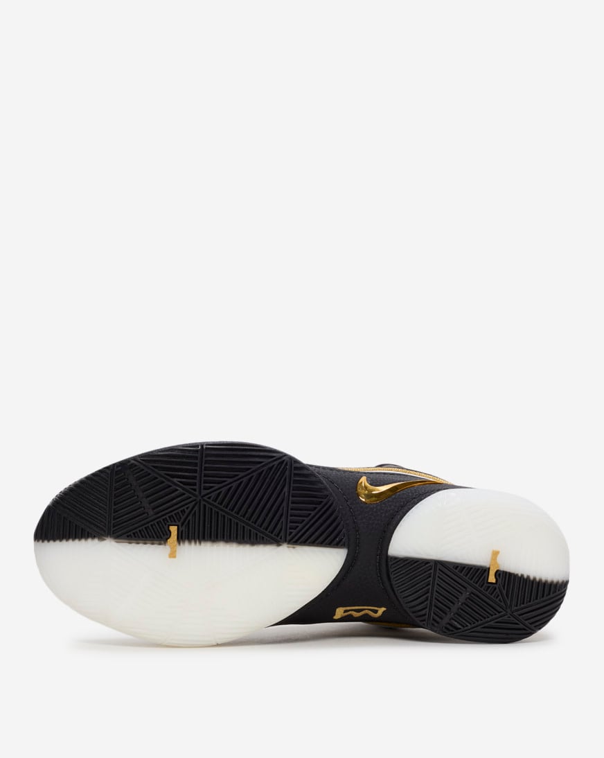 LeBron XX11