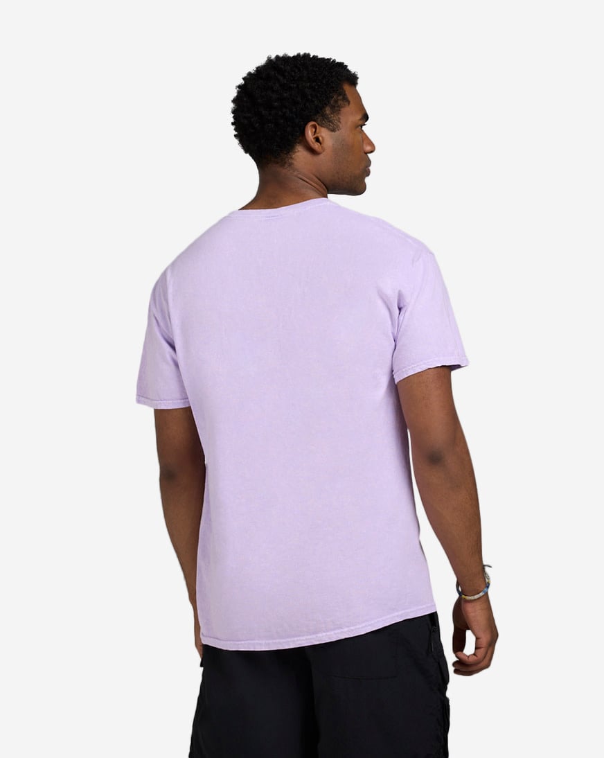 Washed Aaliyah Tee